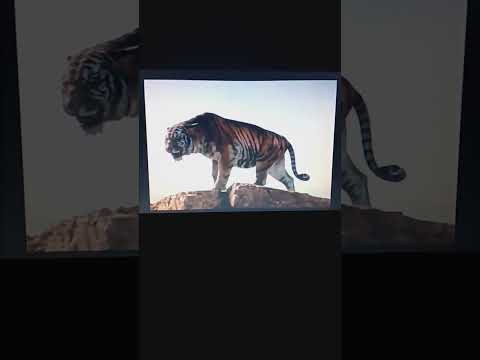 "Animal Age" Part 16 - The Villians Plan