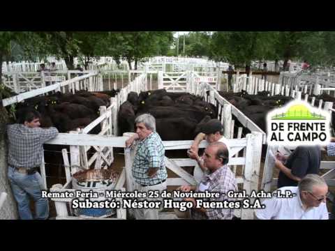 DE FRENTE AL CAMPO junto a NÉSTOR HUGO FUENTES S.A.