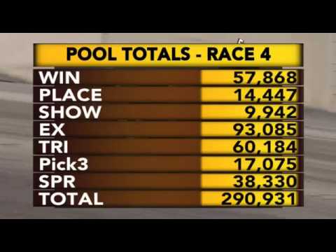 You Know You Do, 2017 08 05, Peter Haughton Mem Final,  Meadowlands Race 4