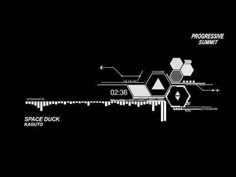 PREMIERE: Kaguto - Space Duck (Original Mix) [Cause Org Records]