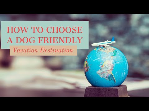 , title : '🔥 How to choose a Dog Friendly Vacation  - dog friendly travel - dog friendly vacations'