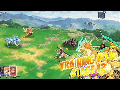 Training Dojo Stage 12 Evertale