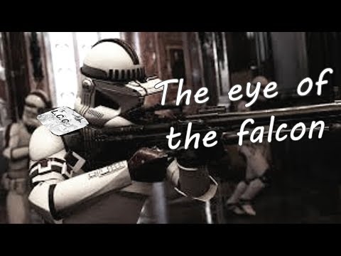 The eye of the falcon [Darki_M]