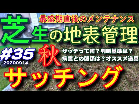 芝生の除草方法