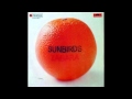 Sunbirds - My Dear Groovin' [Germany, Fusion] (1972) -- Flute Groove