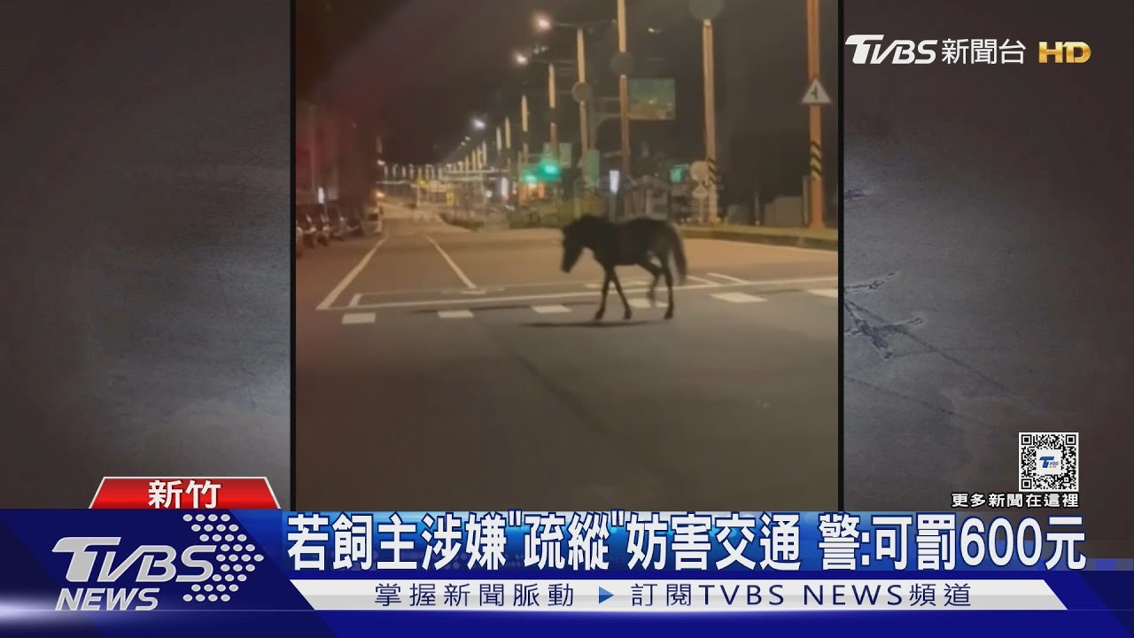 湖口市區有「脫韁」黑馬 闖紅燈還逛大街