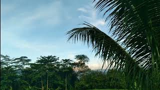 Download lagu Story WA pagi hari | Cinematic 30 detik | Cinematic Video |  Aeshetic Alam | Sinematic estetic keren mp3