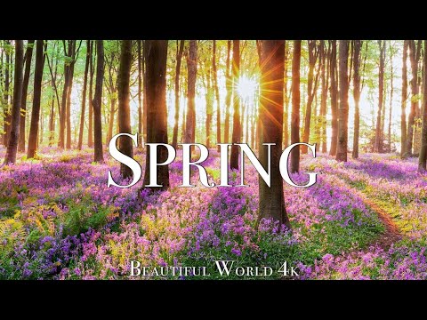 Amazing Colors of Spring 4K Nature Relaxation Film - Relaxing Piano Music - Natural Landscape