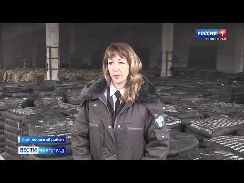 В Волгоградской области с начала года проконтролирован экспорт 124 тонн овечьей шерсти