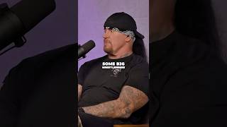 Undertaker Thoughts On Sting