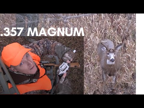 357 vs Deer! Old buck shot with .357 and 30-06. 357 deer hunting