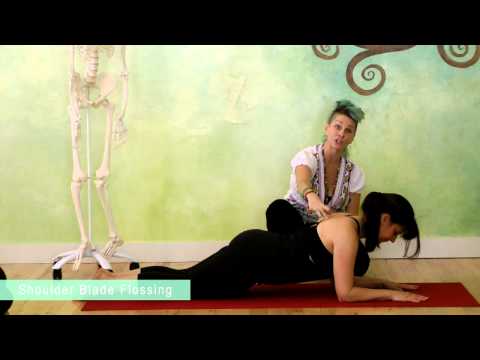 Tools & Techniques to Strengthen Your Chaturanga Dandasana Part Four: Dolphin Push-Ups