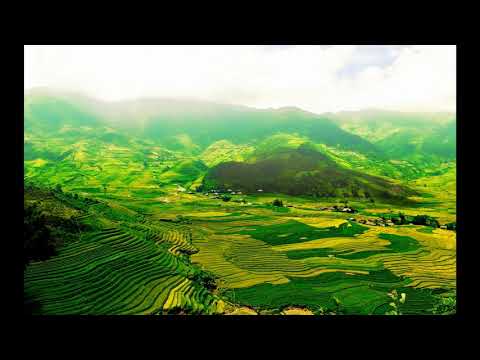 Viorel Ban - In chipul mamei