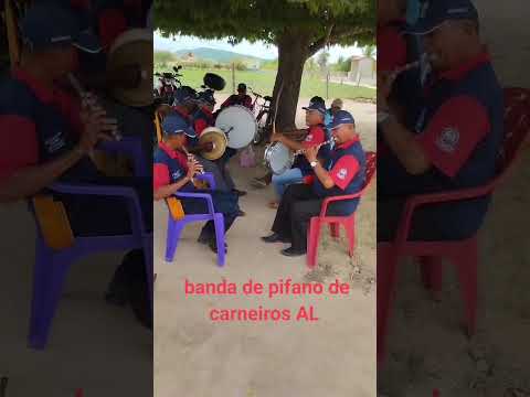 Banda de pifanos de carneiros AL e de Olivença AL