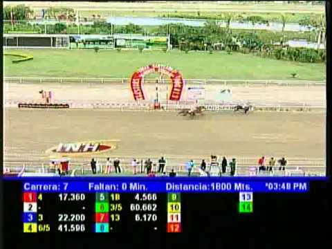 Resumen Sábado, 02 de Noviembre de 2013 - La Rinconada