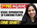 Sexual Reproduction In Flowering Plants In One Shot Biology 2nd PUC In Kannada