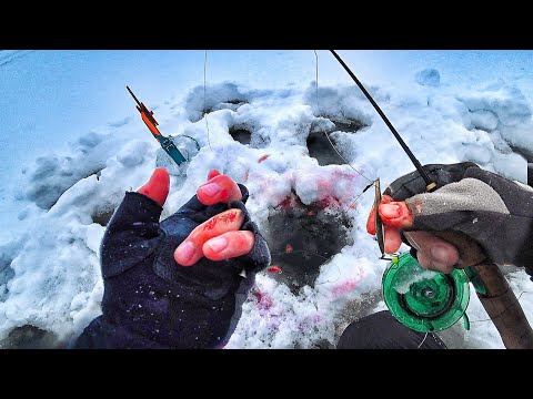 Фото БЫЛ НАКАЗАН! УТАЩИЛО УДОЧКУ! ВСЕ РУКИ В КРОВИ! НО НЕ ОСТАНОВИТЬСЯ!!! ТАК ЛОВЯТ В ЯКУТИИ!