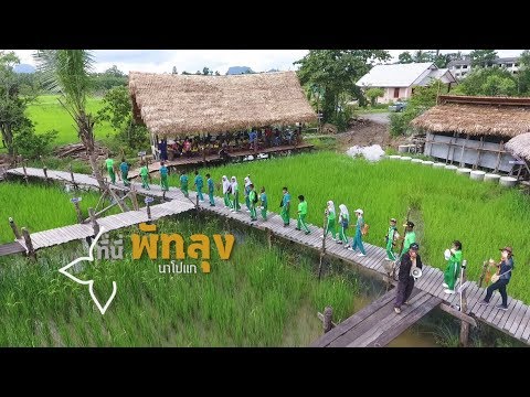 นาโปแก