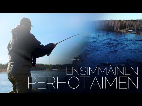 PB GRAYLING +50CM // FIRST TROUT WITH FLY // SPRING FLYFISHING 2023