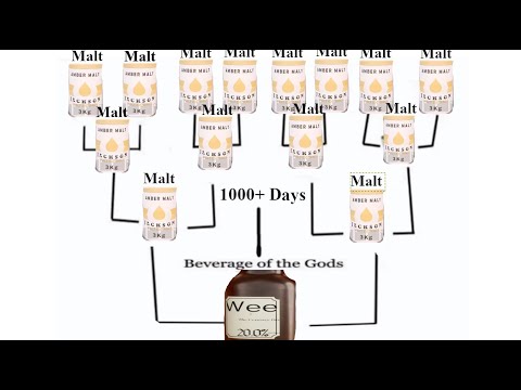 The Century Beer - Tomato Brewmaster stream highlights