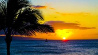 &quot;LONE PALM&quot; by Jimmy Buffett