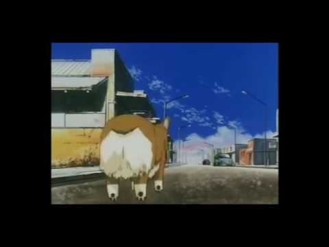 Shifted Phases — Lonely Journey Of The Comet Bopp