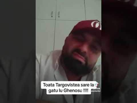 TOATA TARGOVISTEA SARE LA GATU LUI GHENOSU