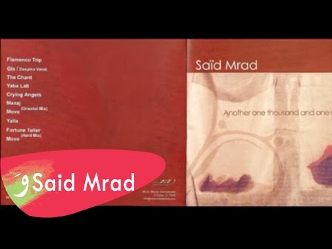 DJ Said Mrad - 04  Yaba Lah