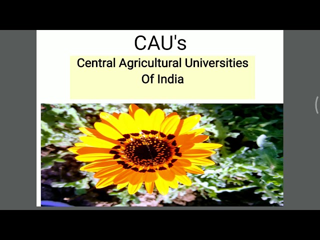 Central Agricultural University video #1