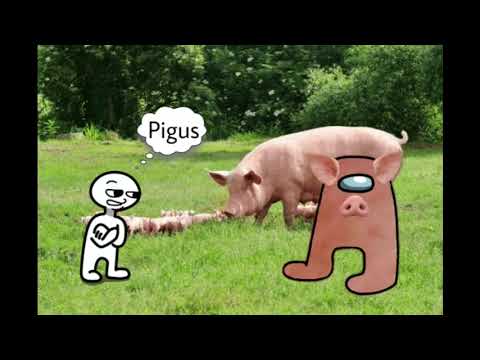 Pigus