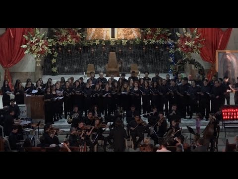 download lagu mp3 mp4 Mark Hayes Gloria, download mp3 Mark Hayes Gloria free download mp3, download mp3 Mark Hayes Gloria