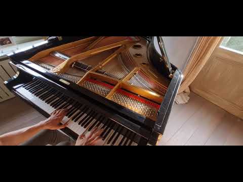 Tchaikovsky - Piano Concerto No. 1 (part 2) | Piano music