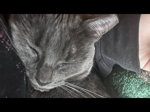 The “Nice Guy” Ballad - Cover