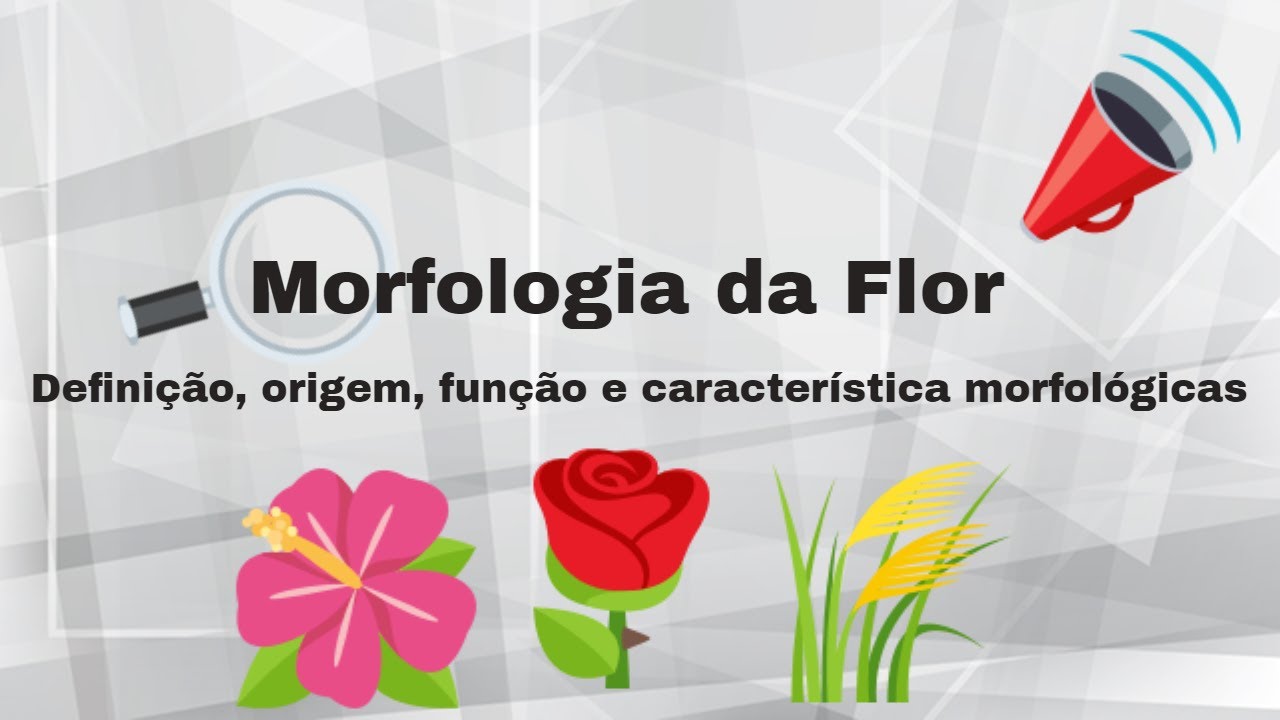 Morfologia da flor