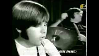 Musik-Video-Miniaturansicht zu Good Vibrations Songtext von The Beach Boys