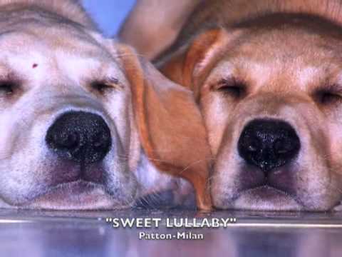 Sweet lullaby-AMERITALIAN Original song