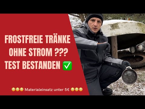 *49 - Frost freie Tränke ohne Strom für unsere Hühner !!! Check ✅ #chicken #hühner #winter