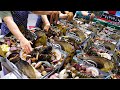 BEST 4 Amazing Seafood Dishes In Korea Koreans Like Most Korean Street Food
