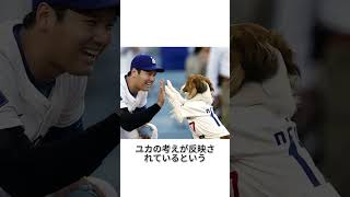 大谷翔平の姉は翔平を守るために10年間身分を隠していた
