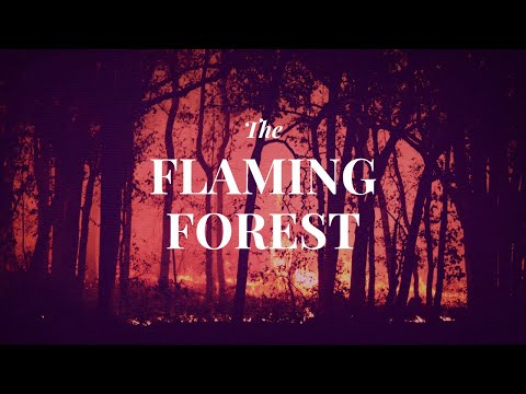 The Flaming Forest | Dark Screen Audiobooks for Sleep