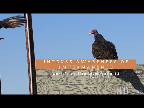 Intense Awareness of Impermanence