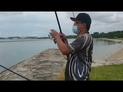 Beach ledgering for 1st half of 2020