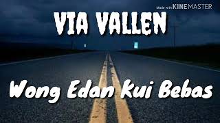 Download lagu Via Vallen Wong Edan Kui Bebas... mp3