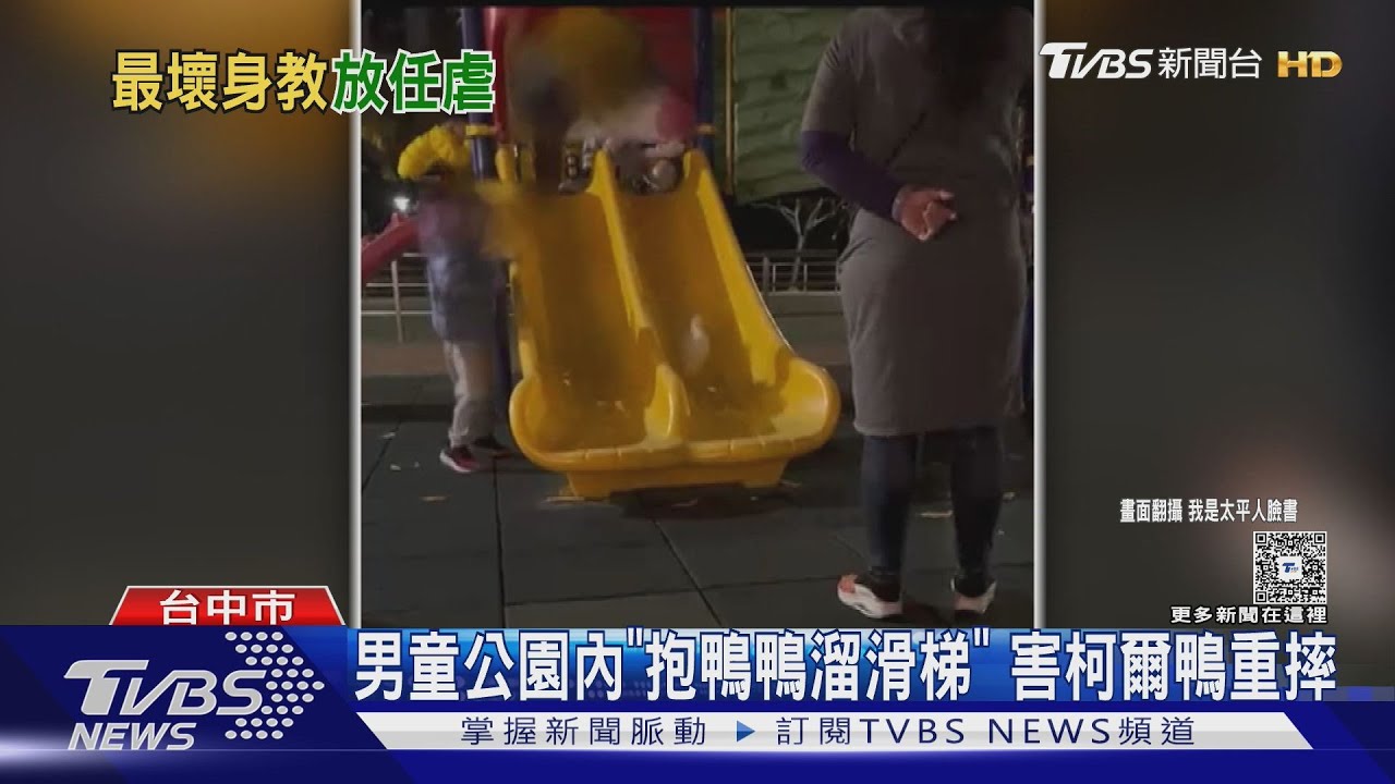 柯爾鴨被迫玩滑梯「驚恐摔落」！專家：恐骨折　飼主最重可罰1.5萬