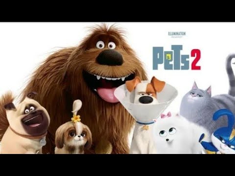The secret life of pets 2/cartoons for kids/full movie English subtitles. #cartoon all