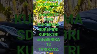 Download lagu NP57.KALILATVAKERKALILA32 antvKA12 TVRI KUKUBIMA SDKEPBRI KUPEKTRI antvBERIKA12 TVRIKA12.🛋️🍊JAWAantv mp3
