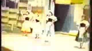 The Honor System - "Fool's Gold" Asian Man Records