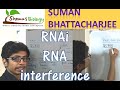 RNAi Mechanism RNA Interference Pathway Using SiRNA And ShRNA