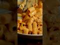 Z Is For Zozzona Italy S Secret Sauce