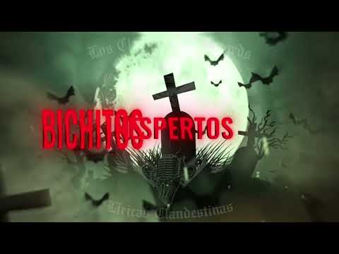 Mi Zona- El Lowkey,El Negro,El Trav13so,El CJ, Player Danger 